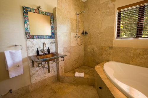 ein Badezimmer mit einem Waschbecken, einer Badewanne und einem Spiegel in der Unterkunft Southern Light Country House in Kapstadt