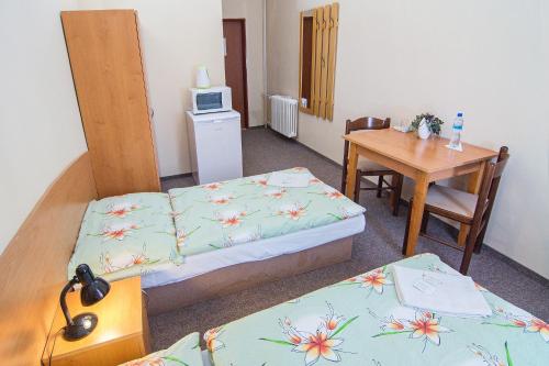 Kuchyň nebo kuchyňský kout v ubytování Hotel Hůrka