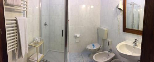 a bathroom with a shower and a toilet and a sink at Motel 7 Laghi in Castelletto di Branduzzo