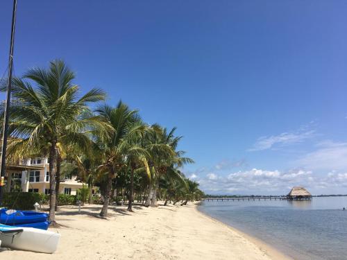 a beach with palm trees and the water at Laru Beya Resort in Placencia