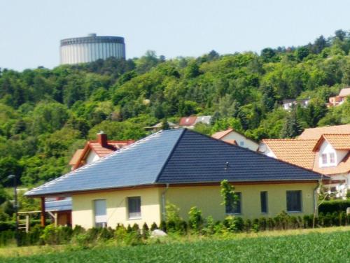 a house with a black roof on a hill at Ferienwohnung am Kurpark in Bad Frankenhausen