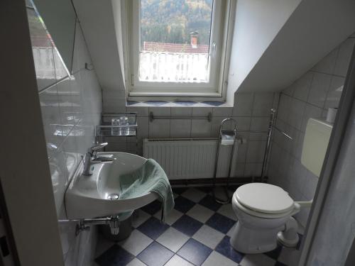 a bathroom with a sink and a toilet and a window at Gasthof zum Richter in Mühldorf