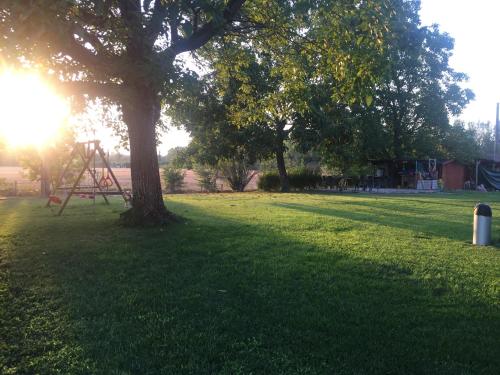 a park with a tree and a swing set at B&B Nido Sui Laghi in San Donnino della Nizzola
