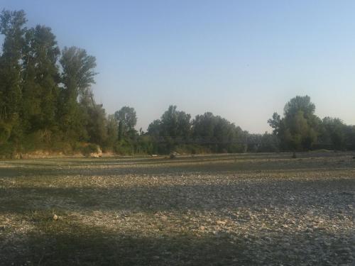 a large field with trees in the background at B&B Nido Sui Laghi in San Donnino della Nizzola