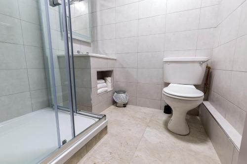 ein Bad mit einem WC und einer Dusche in der Unterkunft Ivy Tower Hotel in Castlebar