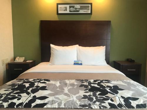 a bed in a hotel room with a large headboard at Baymont by Wyndham Flat Rock in Flat Rock