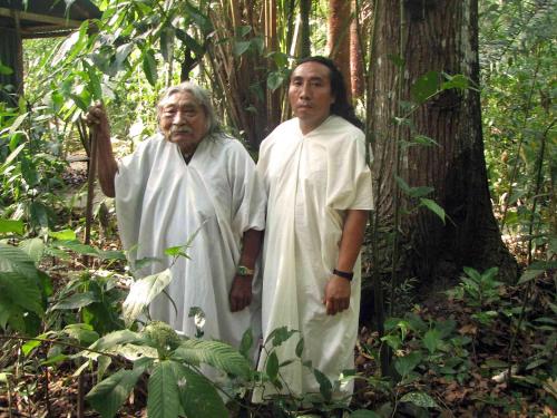 two older men standing in the forest next to a tree at Campamento Rio Lacanja in Lacanjá