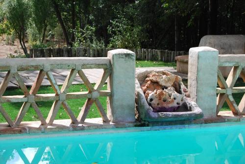 a stuffed animal in a trough next to a swimming pool at Casa Rural La Alameda in Madridejos