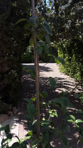 Φωτογραφία από το άλμπουμ του Zimmer In Yuvalim σε Yuvallim