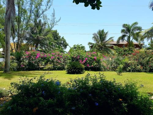 Un jardín fuera de The Westender Inn