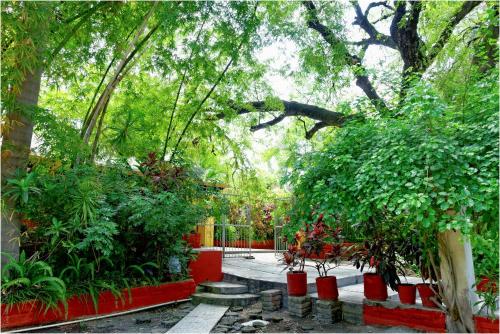 a garden with a lot of plants and trees at El Molino Hotel Boutique in Río Verde