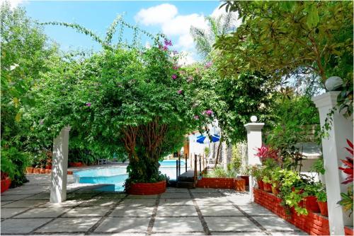 a pool in a garden with a tree and a fence at El Molino Hotel Boutique in Río Verde