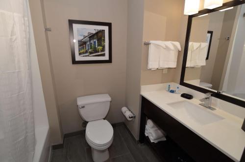 a bathroom with a toilet and a sink and a mirror at Best Western False River Hotel in New Roads