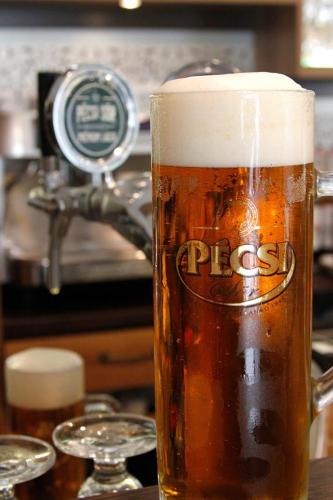 a glass of beer sitting on top of a table at Centrum Panzió in Mohács
