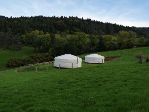 Příroda nedaleko luxury tent
