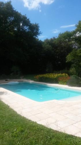 a swimming pool with blue water in a field at Château de La Villette in Ardentes