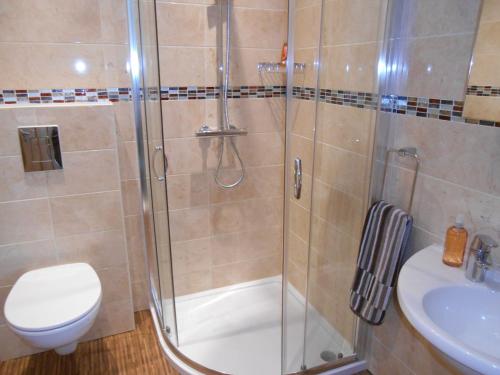 e bagno con doccia, servizi igienici e lavandino. di Luxury 4 Bed 3 Bathroom Bungalow , South West of London, The Dapples a Epsom