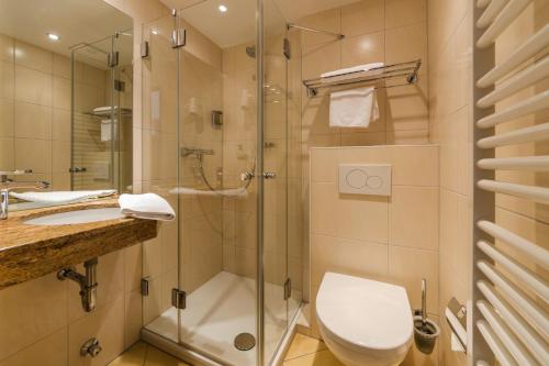 a bathroom with a shower and a toilet and a sink at Hotel Alte Post in Lehrte
