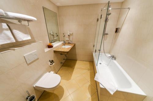 a bathroom with a toilet and a shower and a sink at Hotel Alte Post in Lehrte