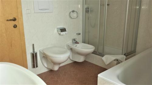 ein Bad mit einem WC, einer Dusche und einem Waschbecken in der Unterkunft Reschnerhof in Reschen