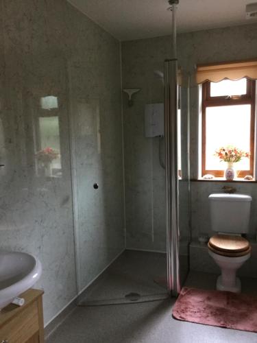 La salle de bains est pourvue d'une douche, de toilettes et d'une fenêtre. dans l'établissement Carinya, à Talgarth