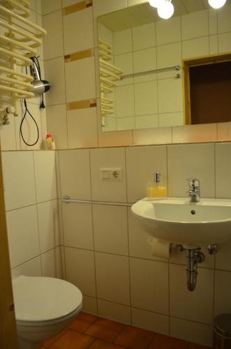 a bathroom with a sink and a toilet and a mirror at Altstadt-Pension Koch in Goslar