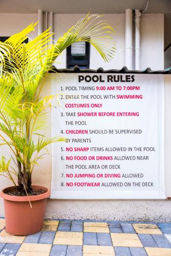 a sign on the side of a building with a plant at Lazy Frog Guest House in Cavelossim