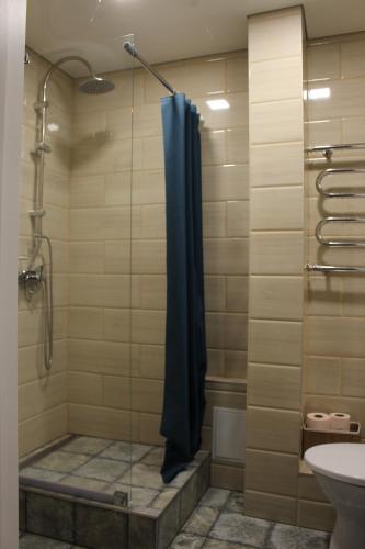 La salle de bains est pourvue d'une douche avec un rideau de douche bleu. dans l'établissement Near Park Apartment, à Druskininkai