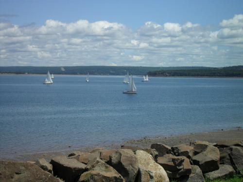 a group of sailboats on a large body of water at Harmony B&B and Suites in Digby
