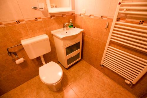 a bathroom with a white toilet and a sink at Villa Maja in Supetar