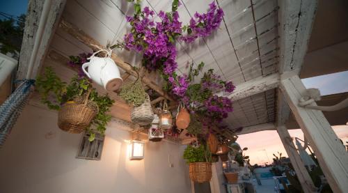 a bunch of flowers in baskets hanging from a ceiling at Portadamare in Trani