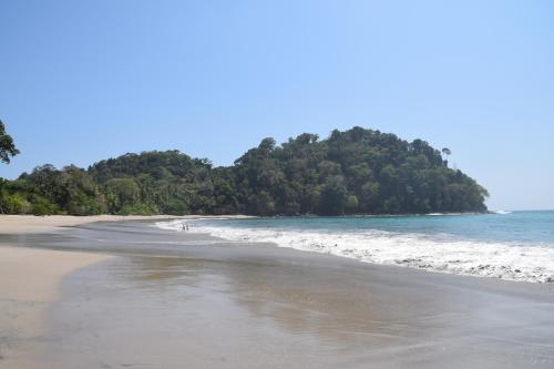 a beach with a bunch of trees in the water at Palm Coast Luxury Rentals in Esterillos Este