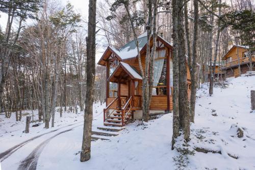 a log cabin in the woods in the snow at Aldea Nevada in Ushuaia