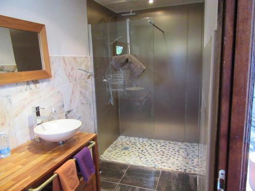 La salle de bains est pourvue d'une douche et d'un lavabo. dans l'établissement La Maison de l'Epousée B&B, à Abbeville