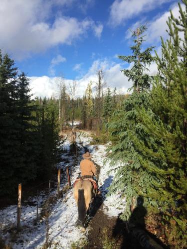 Montana Hill Guest Ranch semasa musim sejuk