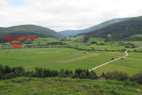 a view of a green valley with a road at Bauernhof Trinkergut in Unternberg