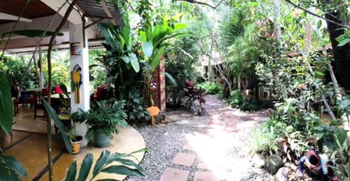 a garden with a lot of plants and trees at Hotel Tropical Sands Dominical in Dominical
