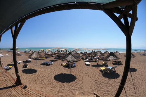 a beach with many umbrellas and chairs and the ocean at Belkon Hotel in Belek