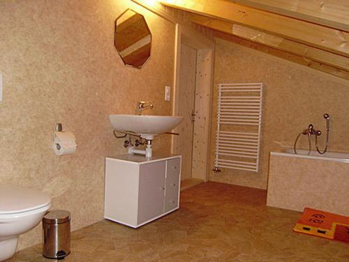 La salle de bains est pourvue d'un lavabo et de toilettes. dans l'établissement Bauernhaus Gschwend, à Gsteig