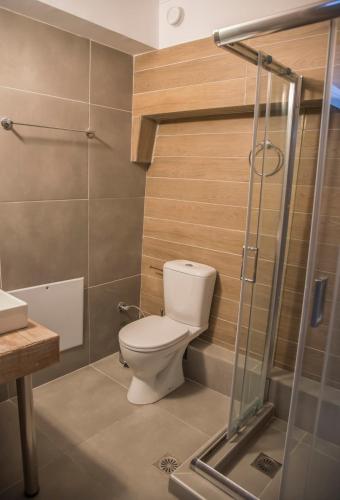 a bathroom with a toilet and a shower at Casa Christabella in Paralia Vrachou