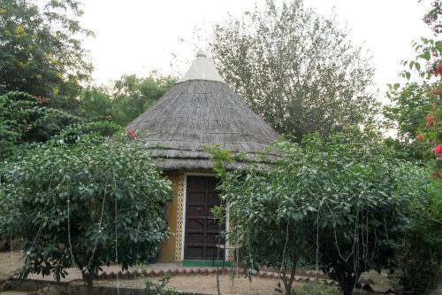 Zahrada ubytování Achrol Bagh