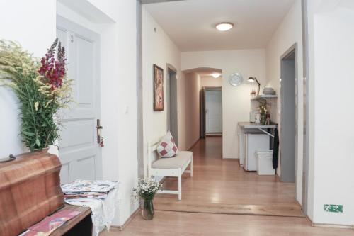 Una cocina o cocineta en Dubina
