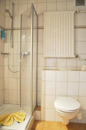 a bathroom with a shower and a toilet at Hotel Atlantik in Borkum