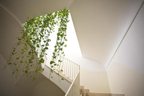 a staircase with a plant hanging from the ceiling at Sisters Hotel in Piano di Sorrento