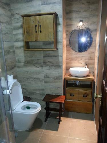 a bathroom with a toilet and a sink and a mirror at Quinta da Cartida in Santa Marinha do Zêzere