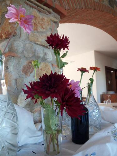 una mesa con dos jarrones con flores en ellos en Villa Loreto, en Alghero