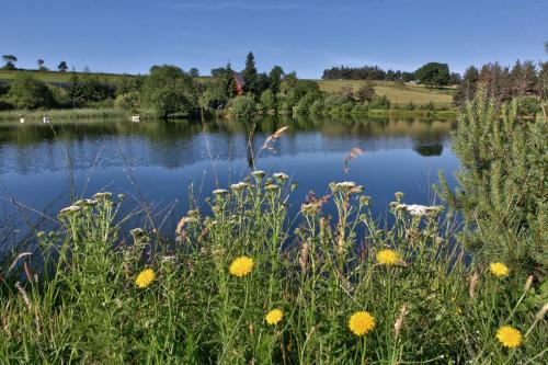 a view of a lake with flowers in the foreground at Les Chalets du Mazet Saint Voy in Mazet-Saint-Voy