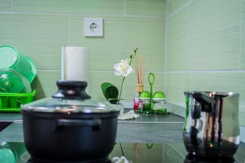 a kitchen with a counter with a blender and flowers at Apartmani Anna in Sveti Martin na Muri