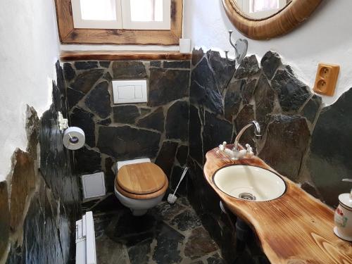 ein Steinbad mit einem Waschbecken und einem WC in der Unterkunft Stodola Sonja in Lúčky
