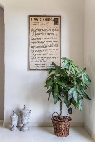 a plant in a basket next to a wall at Ca Muretta Relais in Bardolino